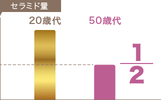 セラミド量