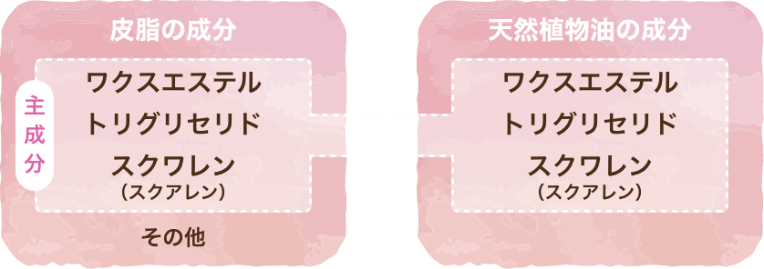 皮脂の成分・天然植物油の成分