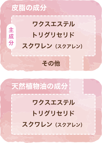 皮脂の成分・天然植物油の成分